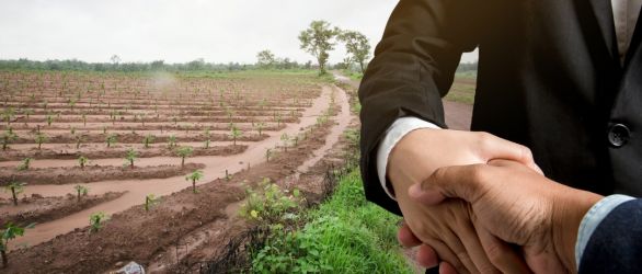 Împrumuturi  instantanee fără plată în avans