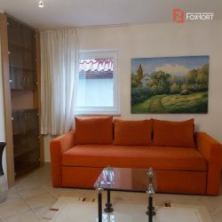 Inchiriere apartament in vila,  Dumbravita, central- C1542