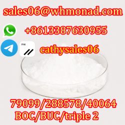 Large Stock CAS 288573-56-8/443998-65-0/79099-07-3 1-N-Boc-4-(Phenylam