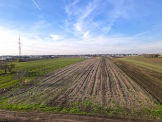 Loturi Rate Direct Dezvoltator Berceni Plopilor - Trandafirilor |#CG29