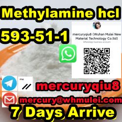 Low price  Methylamine hydrochloride Methylamine hcl CAS 593-51-1