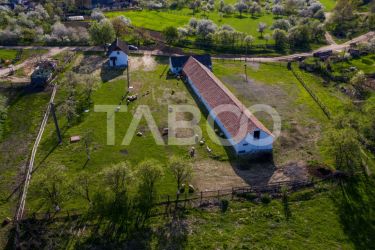 Microferma cu locuinta de vanzare in Pianu de sus