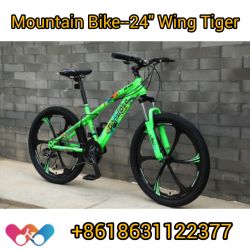 Mountain Bike--24