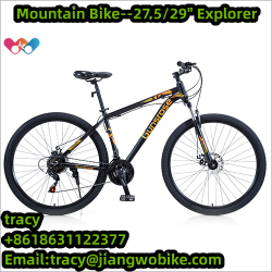 Mountain Bike bike factory price