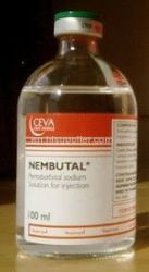 Nembutal Online، Nembutal Oral، شراء بنتوباربيتال الصوديوم، أوكسيكودون