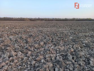 Oportunitate dezvoltare rezidentiala| 4.816 mp | Ghiroda