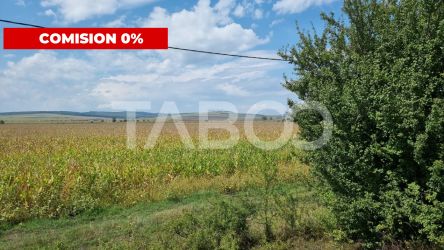  Oportunitate investitie Comision 0%  28000 mp in Sura Mica Sibiu
