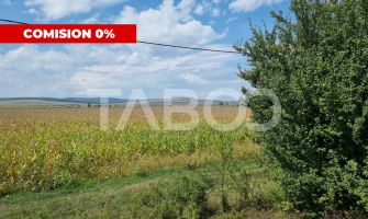  Oportunitate investitie Comision 0%  28000 mp in Sura Mica Sibiu