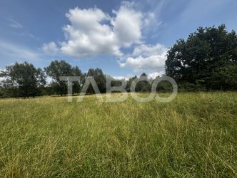 OPORTUNITATE INVESTITIE Teren de vanzare Cisnadie 3100 mp intravilan