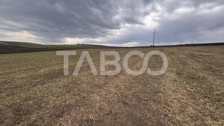 OPORTUNITATE INVESTITIE Teren de vanzare Sura Mare 24000 mp 
