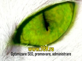 Optimizare SEO Timisoara promovare site-uri