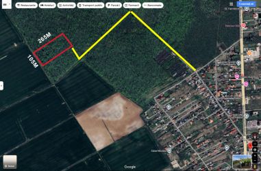 Padure 28.000mp - Saftica - 2e/mp - INVESTITIE - cel mai MIC pret