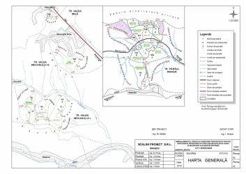Padure Bacau de Vanzare - Investitie Verde cu Potential de Dezvoltare