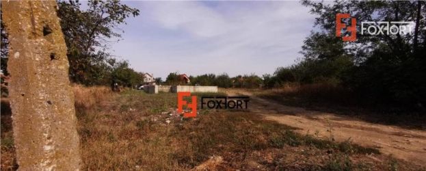 Parcela 538mp de vanzare, Chisoda