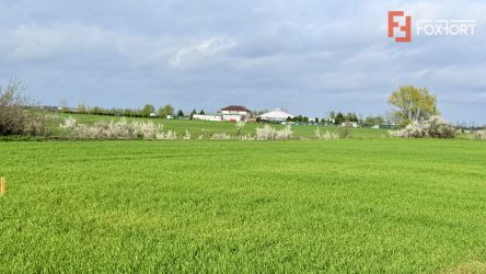 Parcela de teren intravilan de vanzare, 502 mp - Sacalaz