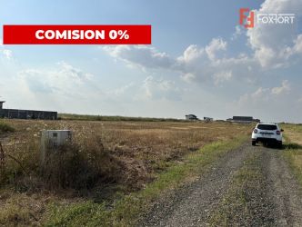 Parcele teren de vanzare in Sanandrei - ID V5451