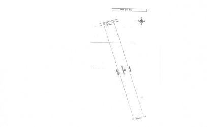 PERIS | Padurea Scrovistea