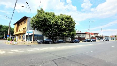Pieptanari 100. Casele din umbra teilor. Rezidential sau comercial?