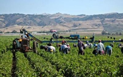 Plecari inainte de Pasti in agricultura in Austria