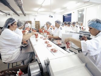 Plecari rapide la fabrica de ciocolata in germania