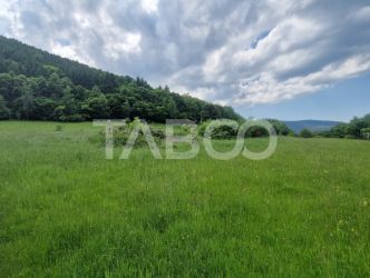 Priveliste deosebita de vanzare de pe teren de 1645mp extravilan Orlat