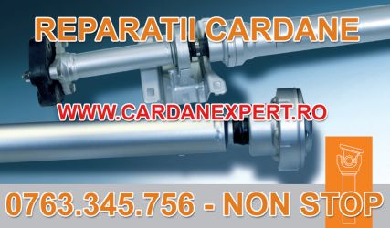 Reparatie Cardan SCANIA 6X4, 8X4, 124   
