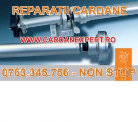 Reparatie Cardan SCANIA 6X4, 8X4, 124   