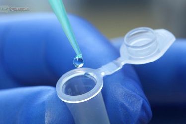 Research Chemicals Free sample 3-mmc 4-cmc 2-mmc 5f-adb mdmb a-pvp nep