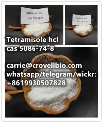 Safety Tetramisole hcl cas 5086-74-8 for dog and cat deworming