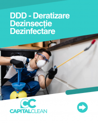 Soluții pentru eliminarea ploșnițelor de pat