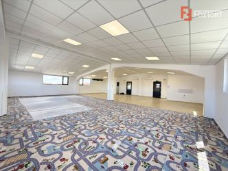 Spatiu pentru birouri/activitati – 190 mp in Sacalaz - Curte privata