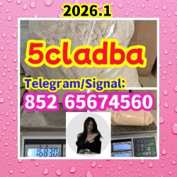   Stream 5cladba Powder 5cl Adbb Precursor 5cladba By Kp,Contact us if