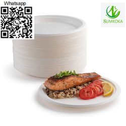  sugarcane plates bagasse disposable paper pulp plate              