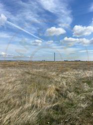 Teren 10.000 mp zona industriala Albota 10 euro mp -Arges 