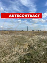 Teren 10.000 mp zona industriala Albota 10 euro mp -Arges 