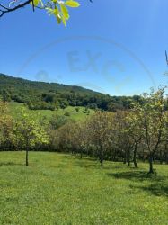 Teren 12.225 mp - Aranghel, jud. Valcea