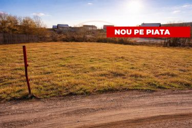 Teren 1262 m2 intravilan sau parcelat Smeura Stoenari Arges