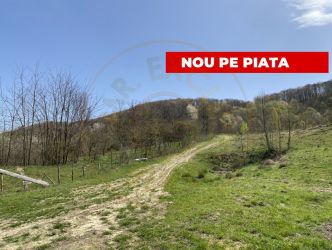 Teren 13.000 mp zona de deal - Aninoasa AG
