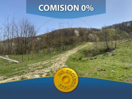 Teren 13.000 mp zona de deal - Aninoasa AG