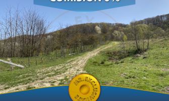 Teren 13.000 mp zona de deal - Aninoasa AG