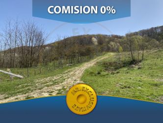 Teren 13.000 mp zona de deal - Aninoasa AG