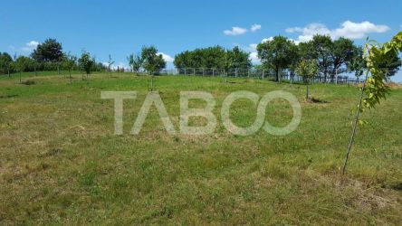 Teren 1974 mp intravilan de vanzare in Loman judetul Alba