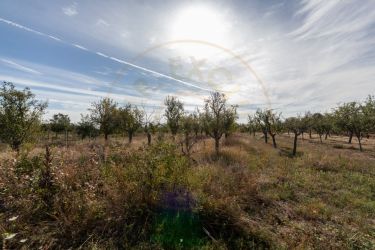 Teren 2.847 mp in comuna Cuca, AG