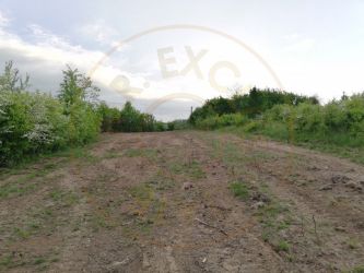 Teren 2000 mp intravilan Smeura-Mosoaia. Comision 0%