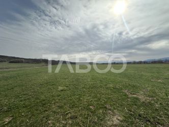 Teren 23.486 mp, deschidere 80 m, ideal comercial/industrial