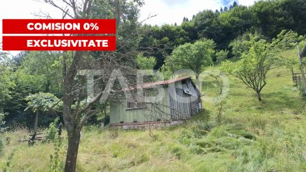 Teren 2500 mp Curmatura Rasinari 40 m deschidere la drum asfaltat