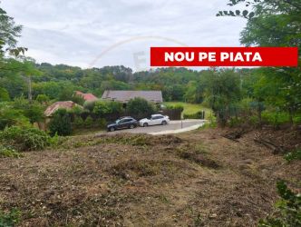 Teren 2552 mp Mosoaia Hintesti -Strada  Basangesti
