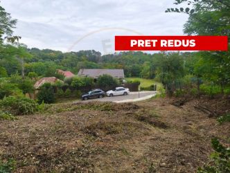 Teren 2552 mp x 14€ Mosoaia Hintesti -Strada  Basangesti