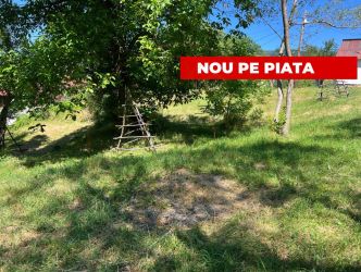 Teren 4996 mp zona de munte Comuna Arefu-Capataneni Arges