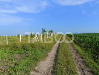 Teren 5000 mp in apropiere de case in Sura Mica - pretabil investitie